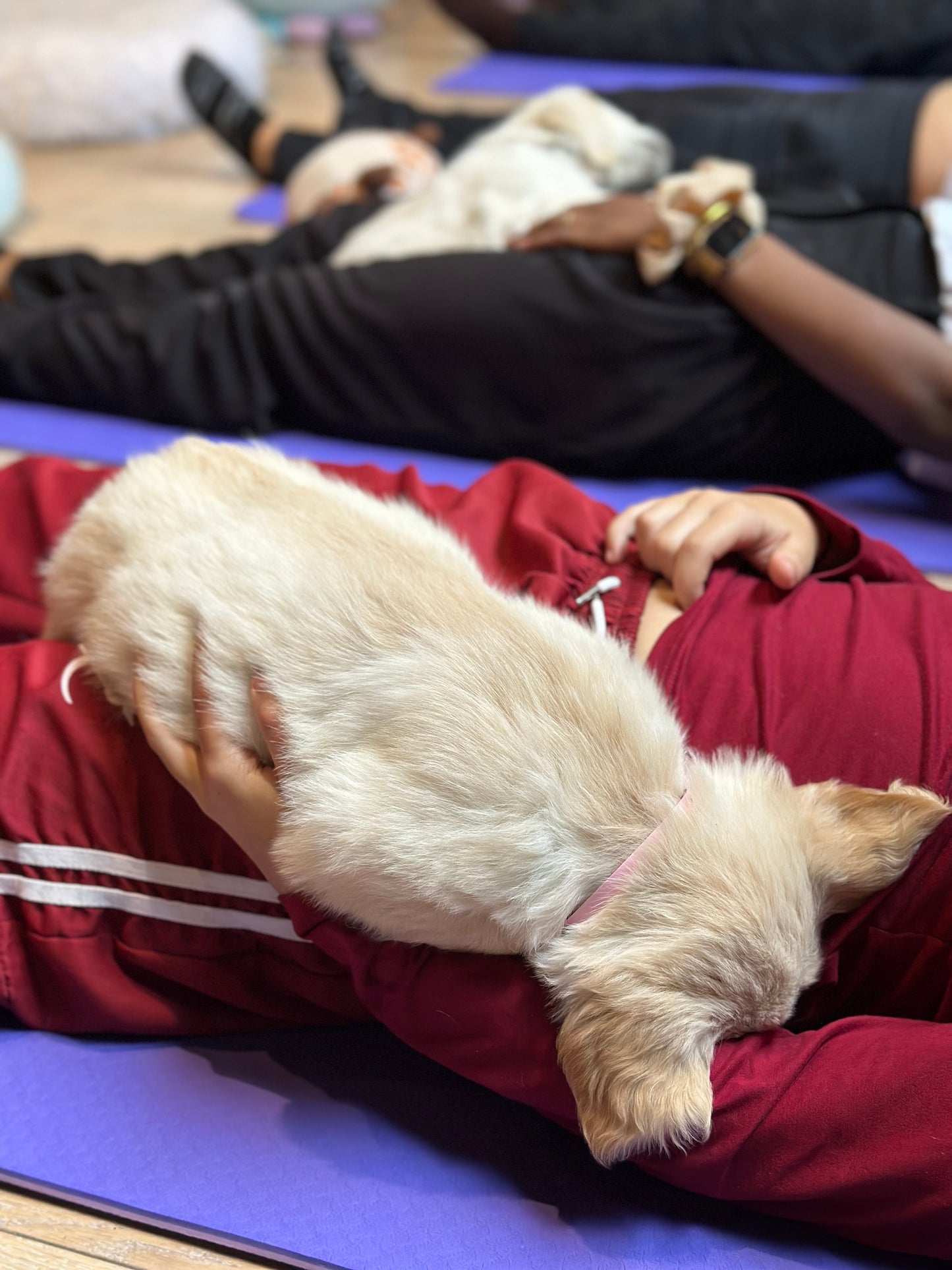 d-☝🏼Dimanche 30 novembre 2025 - tarif spécial famille * et étudiants