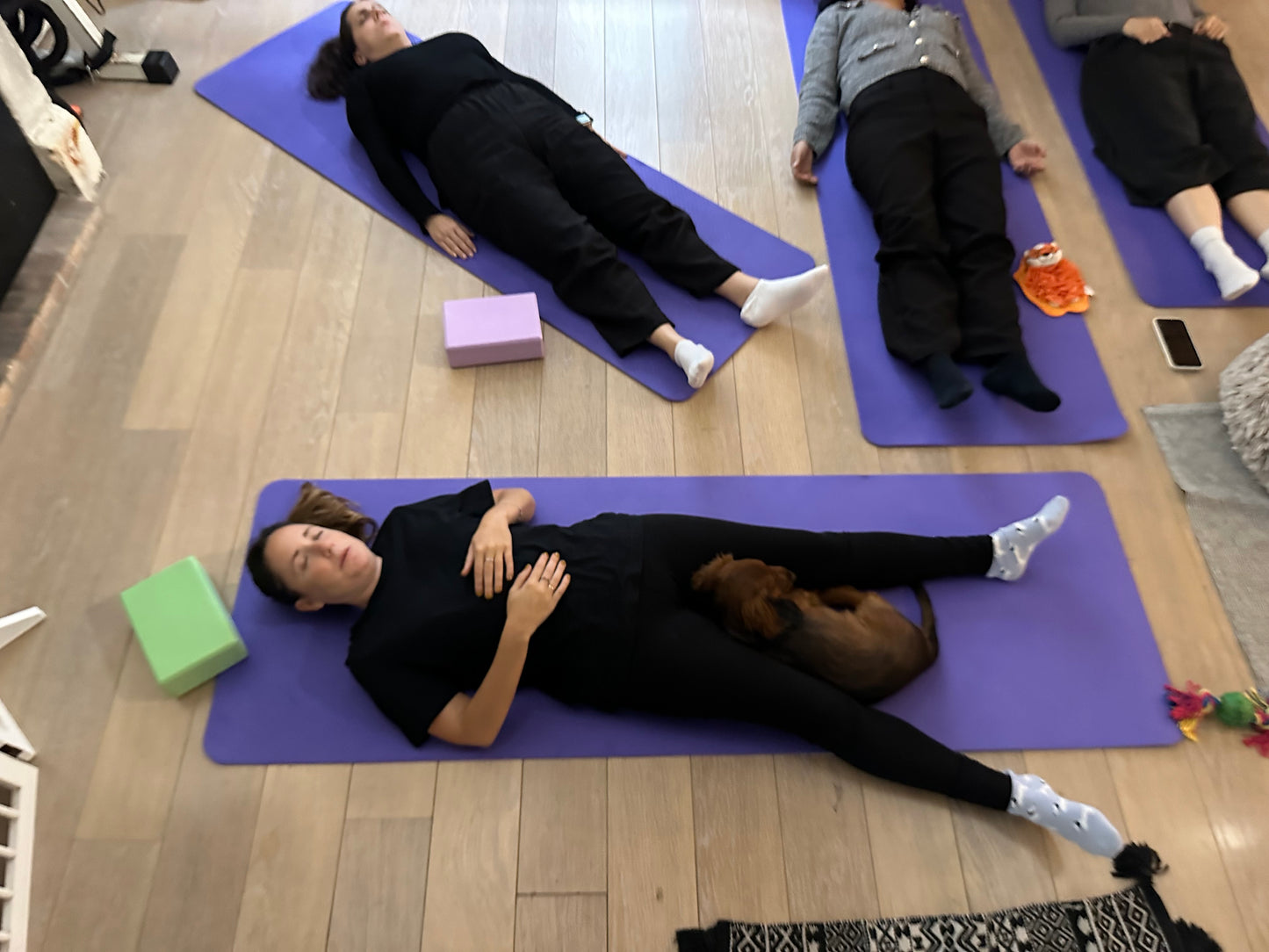 g-🐶 Dimanche 15 février 2026