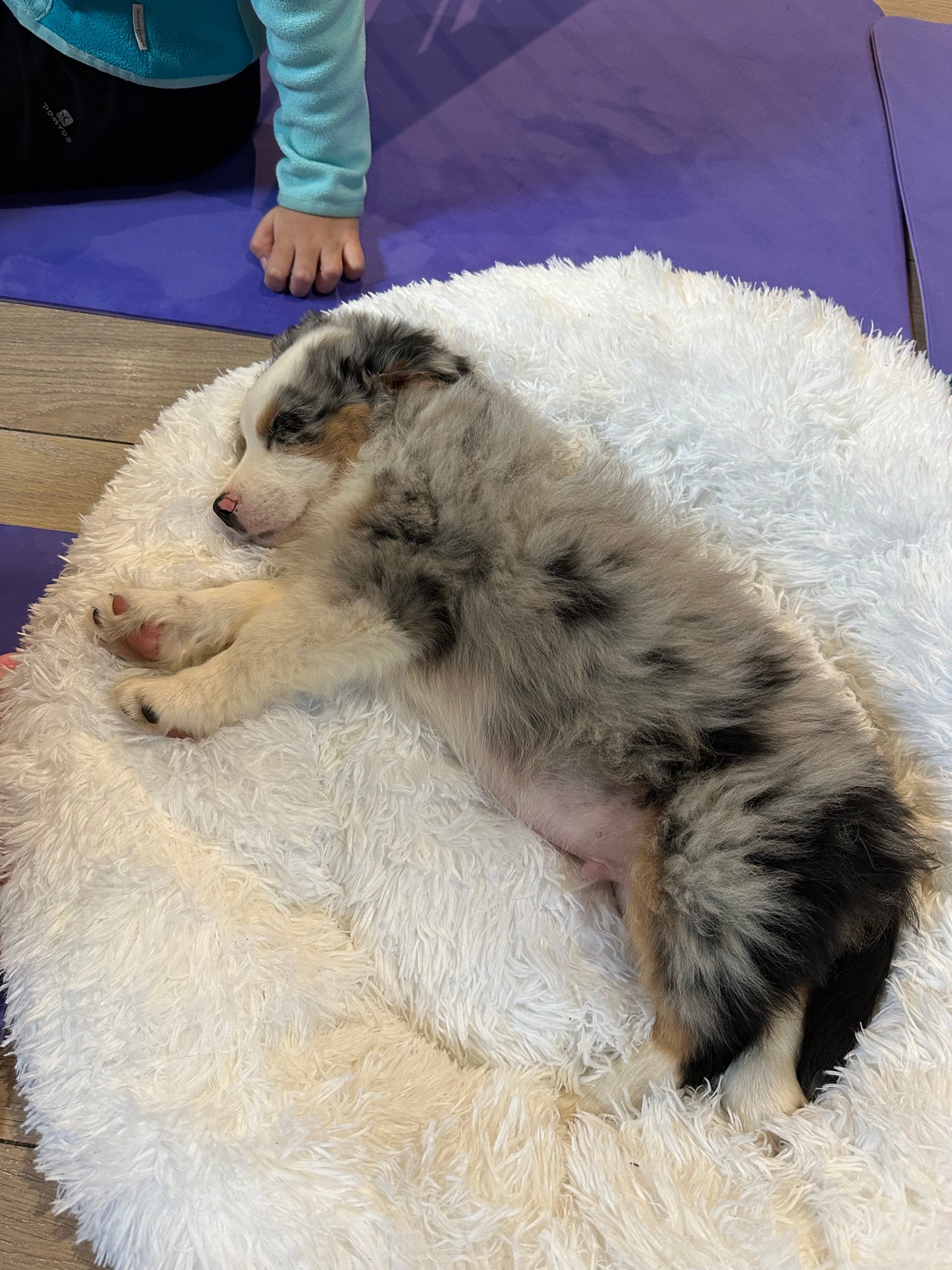 c😎Dimanche 14 décembre 2025 - tarif spécial famille * et étudiants