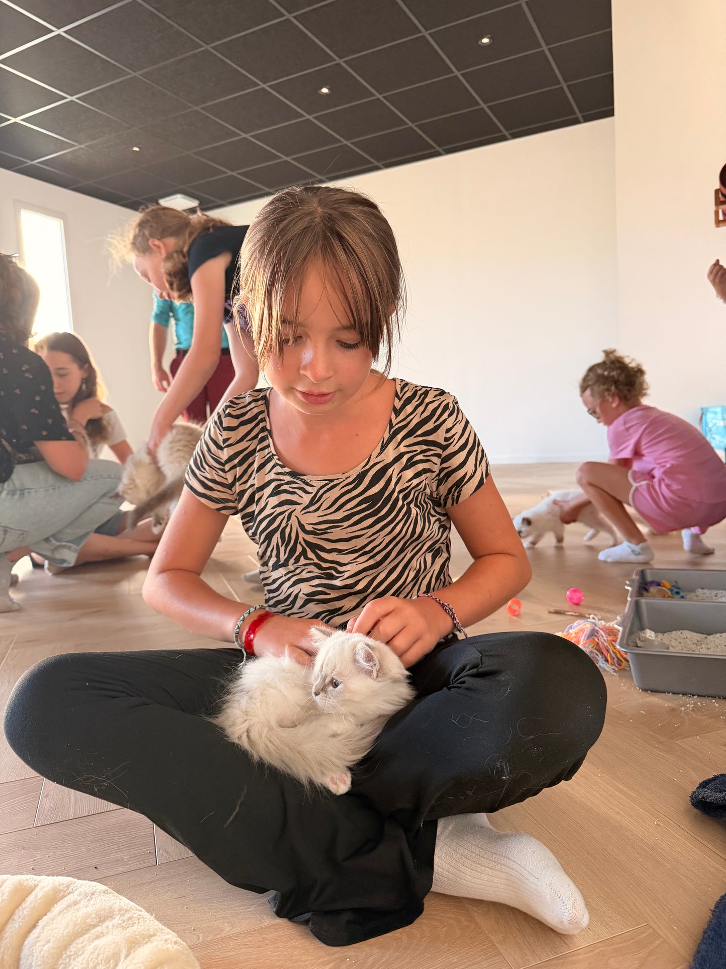 Bkids- 🐾 Dimanche 6 septembre 2026 - yoga & kitty - TARIF REDUIT