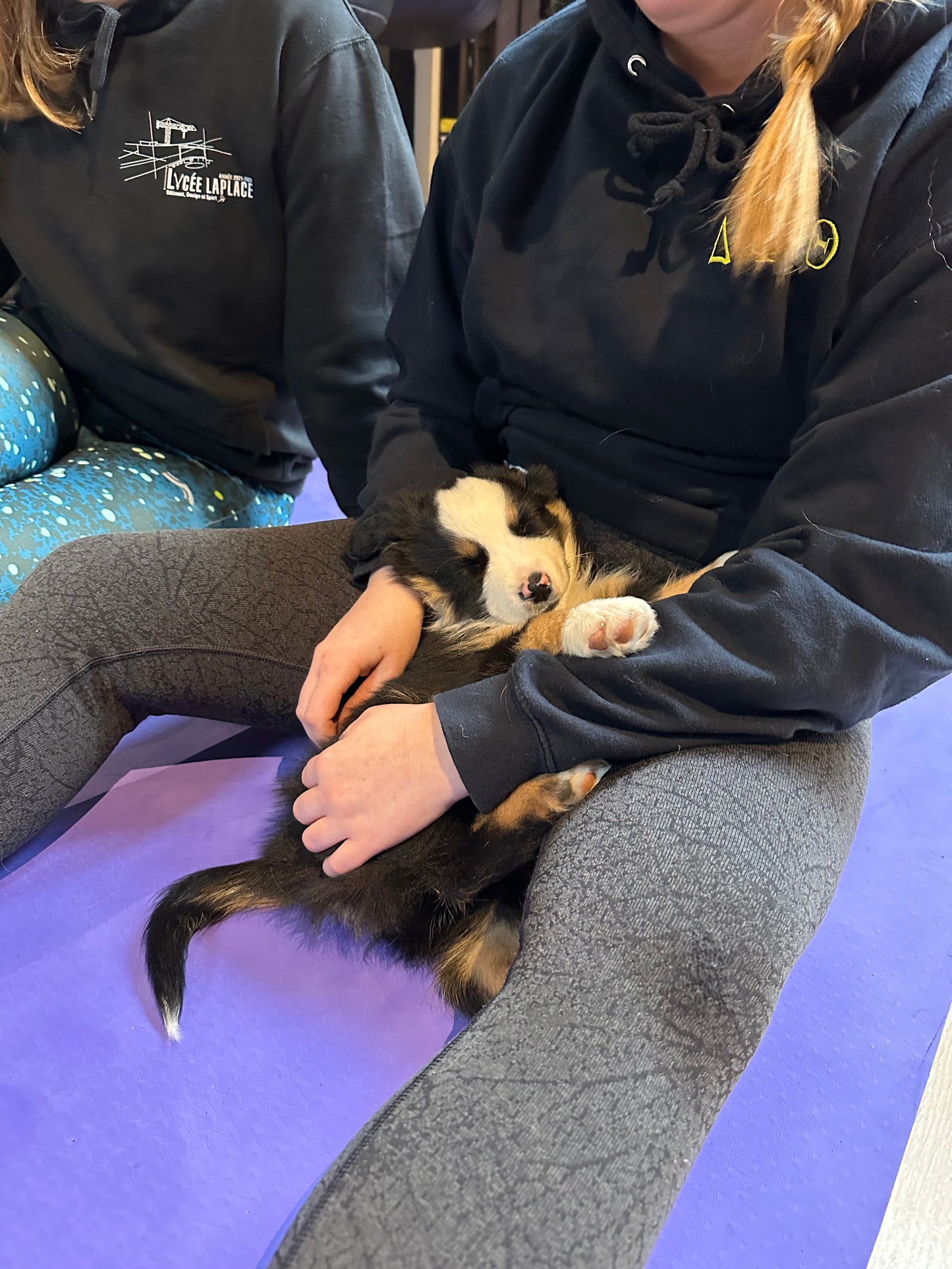 c😎Dimanche 14 décembre 2025