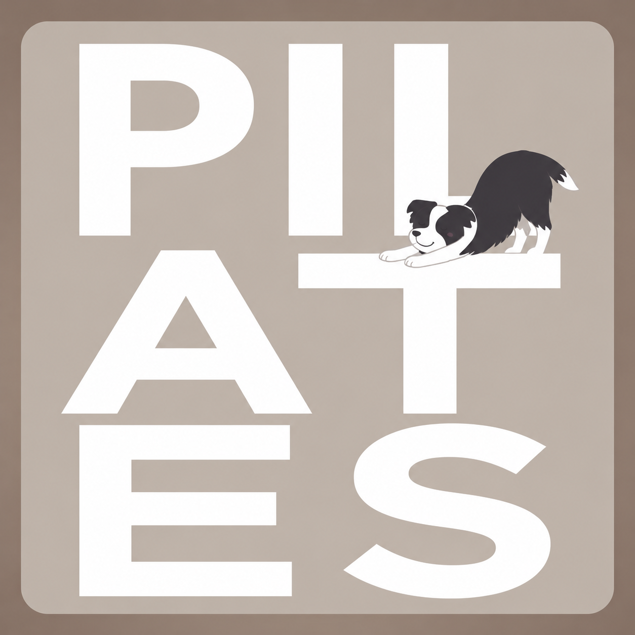 z - KDO PILATES Carte Cadeau - 1 heure de puppy Pilates Tours