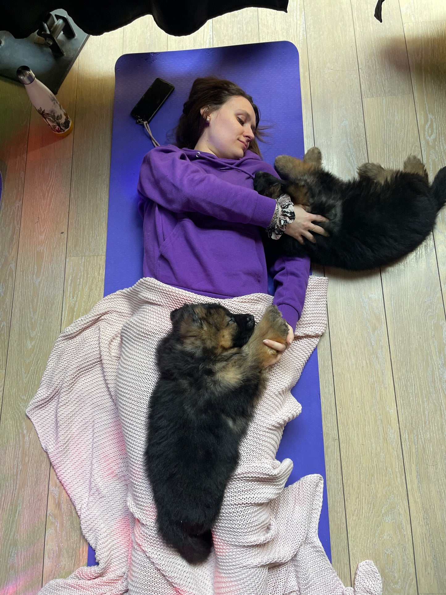 i - 🐾 dimanche 21 juin 2026 (YOGA ) SPECIALE BERGERS ALLEMANDS