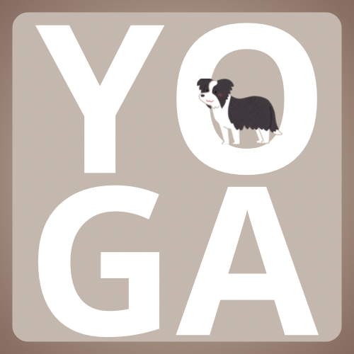Carte Cadeau - 1 heure de puppy yoga Tours