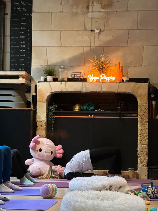 J☝🏼Dimanche 1er mars 2026 - tarif spécial famille * et étudiants