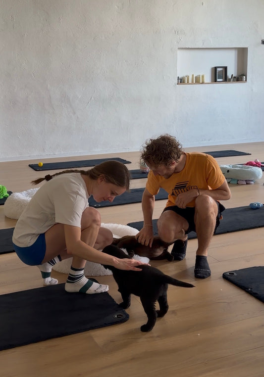 db- 🐾 OFFRE DUO spécial fête des mères dimanche 31 mai 2026 (PILATES DOUX)
