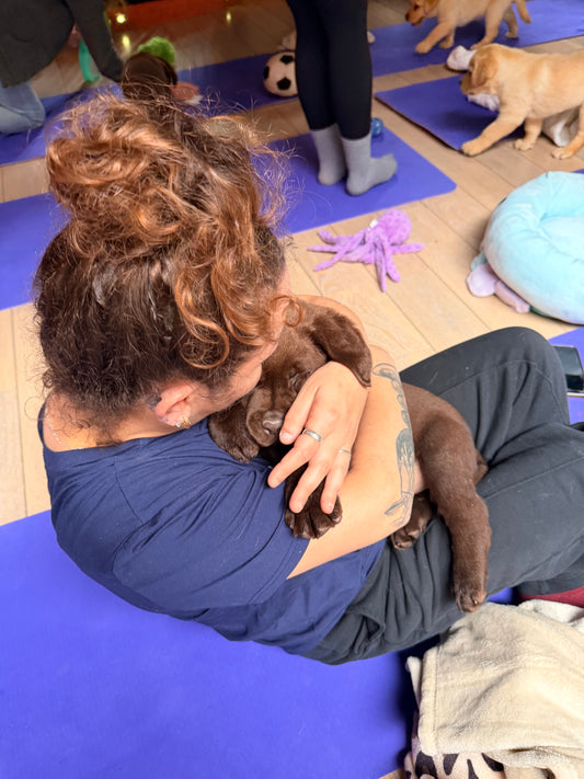 Lb - 🐾 Dimanche 12 juillet 2026 ) tarif étudiant / enfants