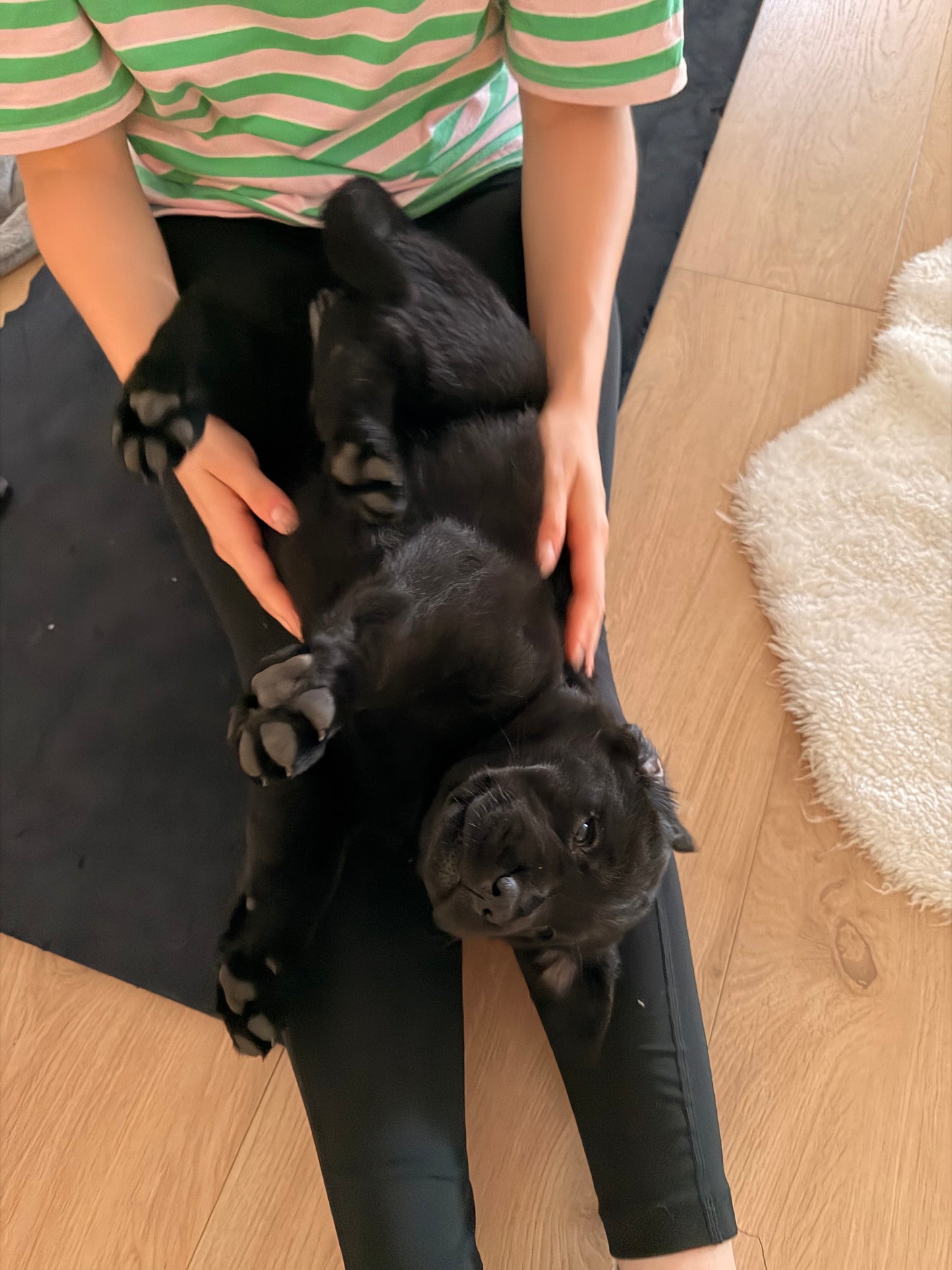 D - 🐾 Dimanche 27 septembre 2026 - PUPPY PILATES