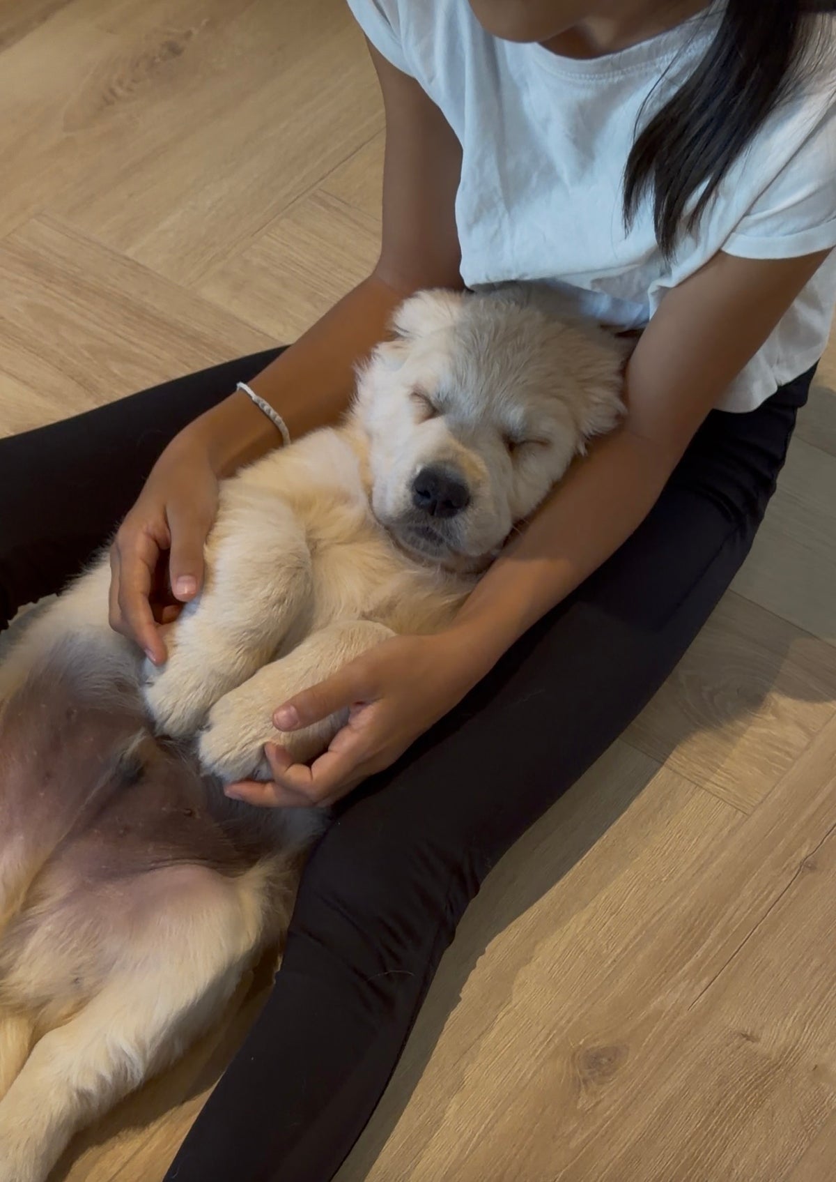 A- Puppy Yoga Kids – séance spéciale enfants 🐶✨mercredi 21 octobre