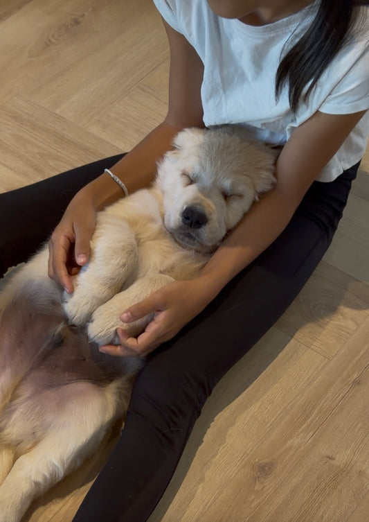 A- Puppy Yoga Kids – séance spéciale enfants 🐶✨mercredi 21 octobre