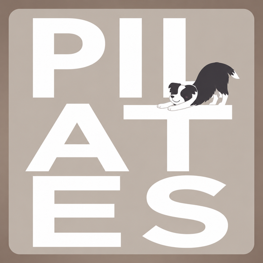 z - KDO PILATES Carte Cadeau - 1 heure de puppy Pilates Tours